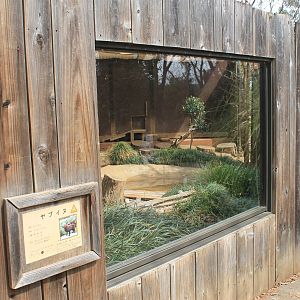 Bush Dog enclosure - Saitama Childrens Zoo