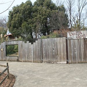 Bush Dog enclosure - Saitama Childrens Zoo