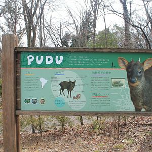 Signage for Pudu (Pudu puda) - Saitama Childrens Zoo