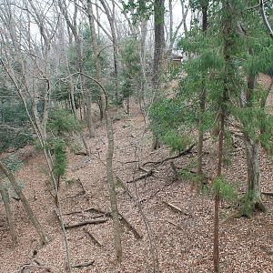 Japanese Serow enclosure - Saitama Childrens Zoo