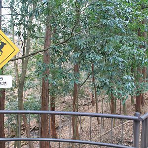Honshu Sika Deer enclosure - Saitama Childrens Zoo