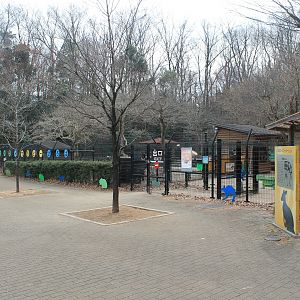 Bennett's Wallaby enclosure - Saitama Childrens Zoo