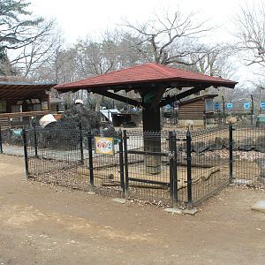 Capybara enclosure - Saitama Childrens Zoo
