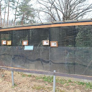 Australian aviaries - Saitama Childrens Zoo