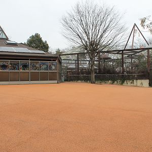 Koala House - Saitama Childrens Zoo