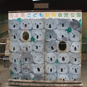 Koala House photo spot - Saitama Childrens Zoo