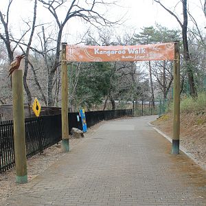path to kangaroo walk-through - Saitama Childrens Zoo