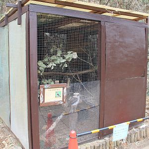 Kookaburra aviary - Saitama Childrens Zoo