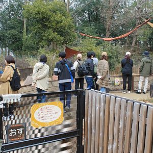 Quokka enclosure - Saitama Childrens Zoo