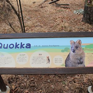 Quokka signage - Saitama Childrens Zoo