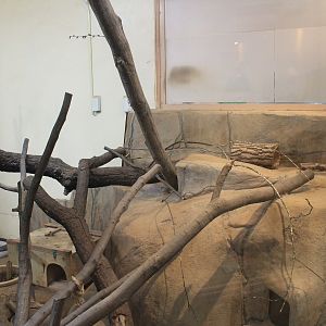 Sand Cat enclosure - Saitama Childrens Zoo