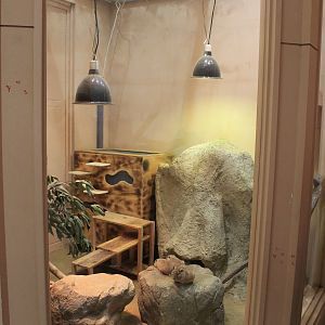 First Gundi enclosure - Saitama Childrens Zoo