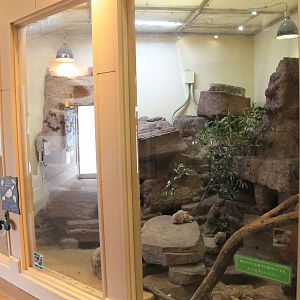 Second Gundi enclosure - Saitama Childrens Zoo