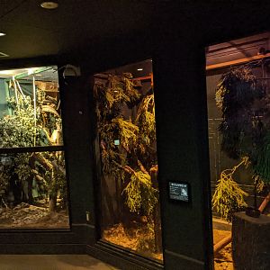 Nocturnal house - Saitama Children's Zoo