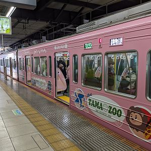 Train to Tama Zoo