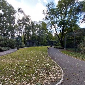 Bird of Prey - Eagles & Vultures