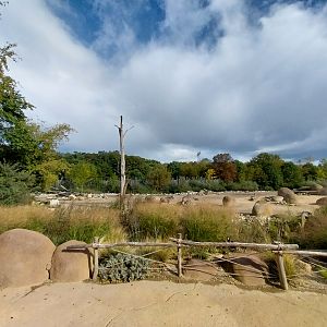 African Savannasw viewing point