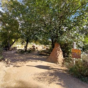 African Savannas trail