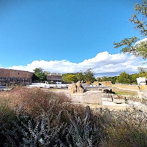 Elephant House construction site