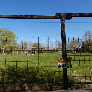 202503 - New olive baboon enclosure, work in progress