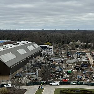 Tropical Forests Construction