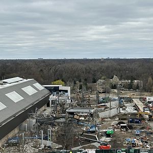 Tropical Forests Construction