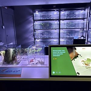 Exotarium - another research station