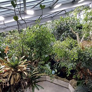 exotarium - indoor flight hall