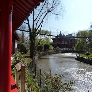 202503 - the Middle Kingdom