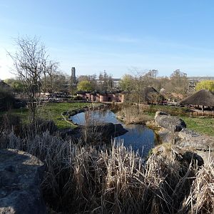 202503 - Land of Origins