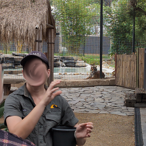 Zambi Wildlife Retreat - Meilah keeping watch