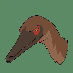 Austroraptor cabazai