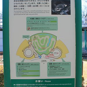 Insectopia map-board