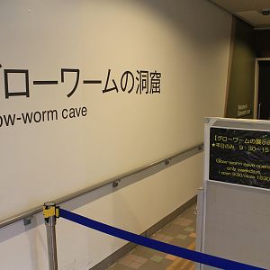 Entry to Glow-worm exhibit - Insectarium