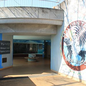 Entry into the Malayan Tapir house