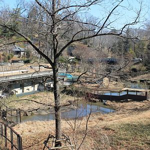 Malayan Tapir enclosures