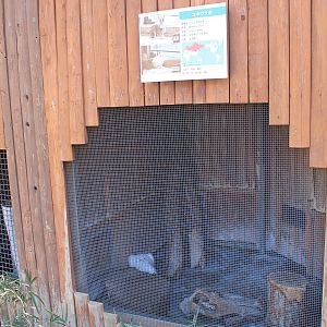 cage for Mountain Hare (Lepus timidus)