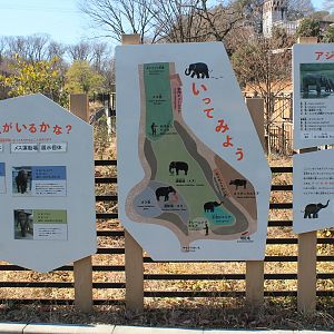 Asian Elephant enclosure