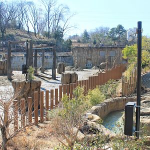 Asian Elephant enclosure