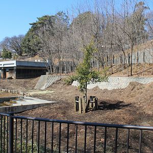 Indian Rhino enclosure
