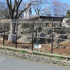 Himalayan Tahr enclosure