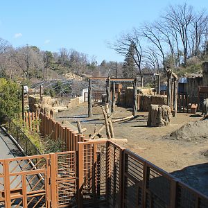 Asian Elephant enclosure