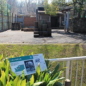 Japanese Serow enclosure