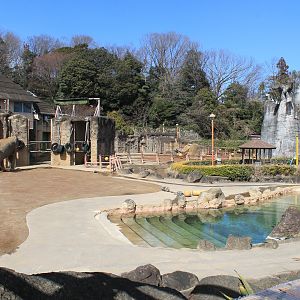 African Elephant enclosure