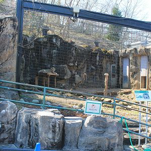 Snow Leopard cage