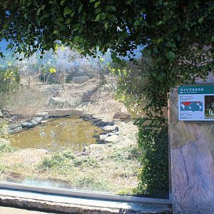 Viewing window into Grey Wolf enclosure