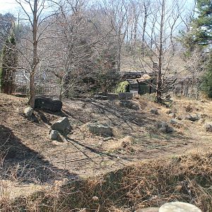 Part of Grey Wolf enclosure