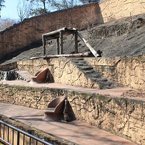 Japanese Black Bear enclosure