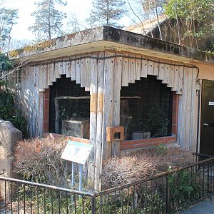 Japanese Giant Flying Squirrel cage