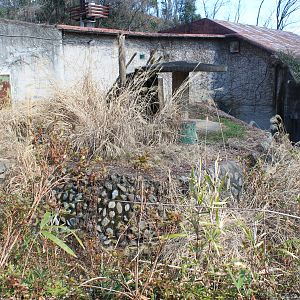 Old Gorilla enclosure